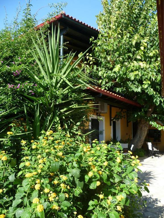 Meliti Guesthouse Akrata Zewnętrze zdjęcie